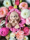 BOX LOVE 1