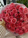 BUKET 279