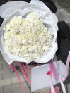 BUKET 489