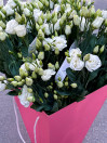 BUKET 513