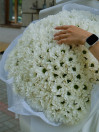 BUKET 752