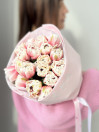 BUKET 703