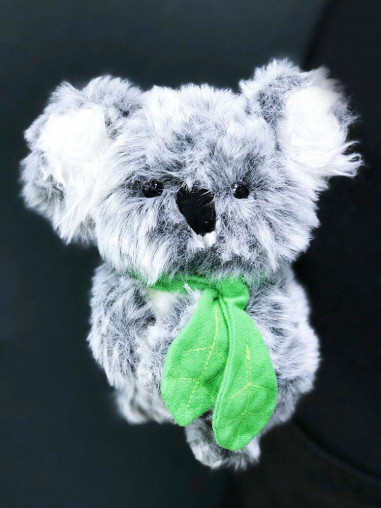Коала